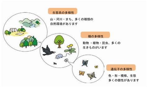 木動物|木の遺伝的な多様性が、樹上の生態系の多様性をつ。